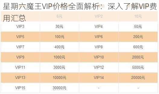 星期六魔王VIP价格全面解析：深入了解VIP费用汇总