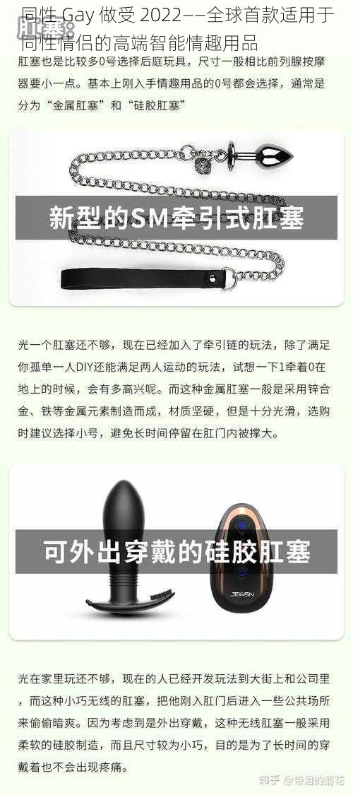 同性 Gay 做受 2022——全球首款适用于同性情侣的高端智能情趣用品