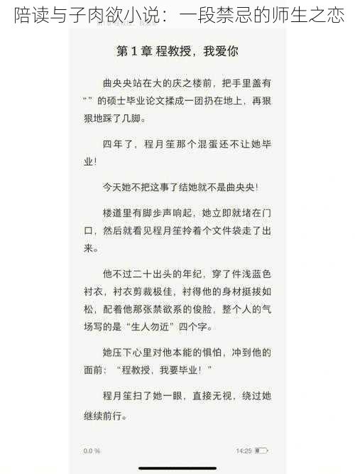 陪读与子肉欲小说：一段禁忌的师生之恋