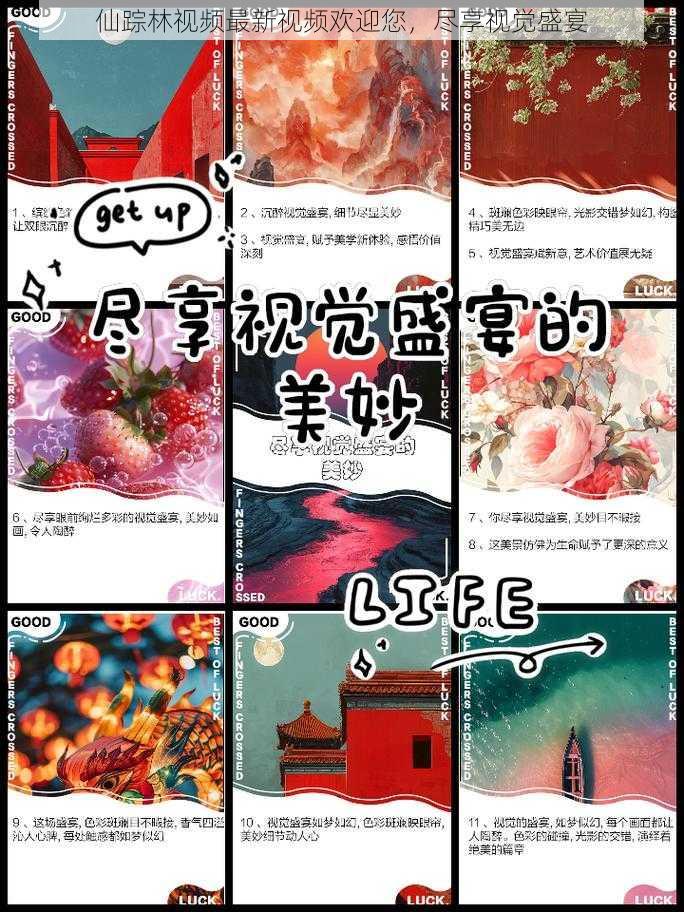 仙踪林视频最新视频欢迎您，尽享视觉盛宴