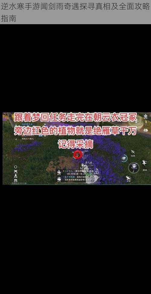 逆水寒手游闻剑雨奇遇探寻真相及全面攻略指南