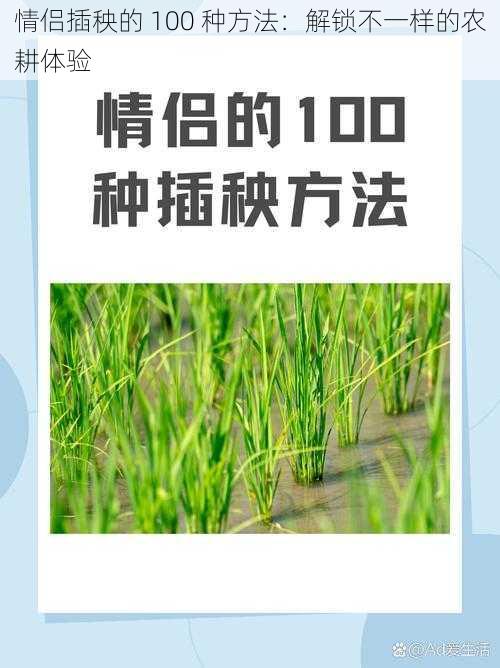 情侣插秧的 100 种方法：解锁不一样的农耕体验