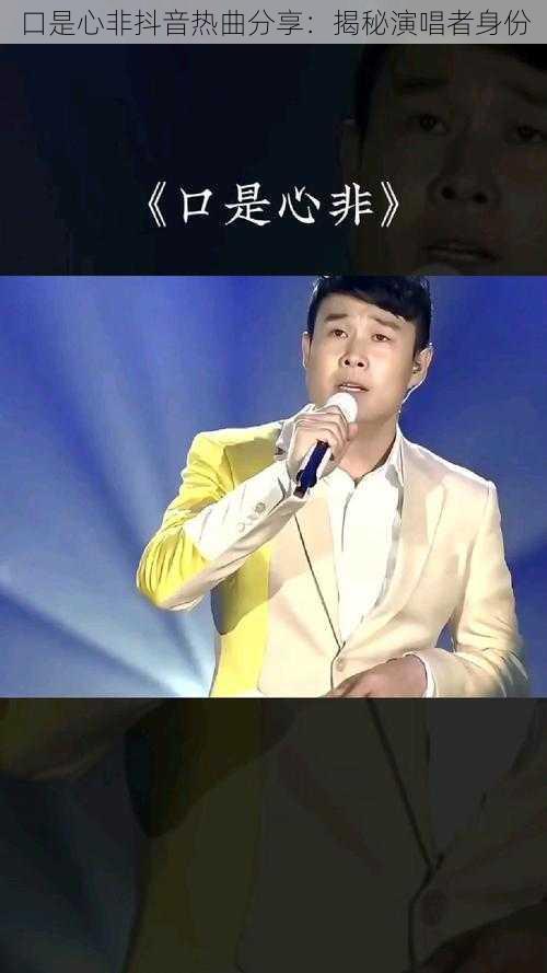 口是心非抖音热曲分享：揭秘演唱者身份