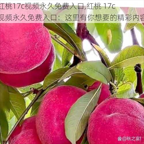 红桃17c视频永久免费入口,红桃 17c 视频永久免费入口：这里有你想要的精彩内容