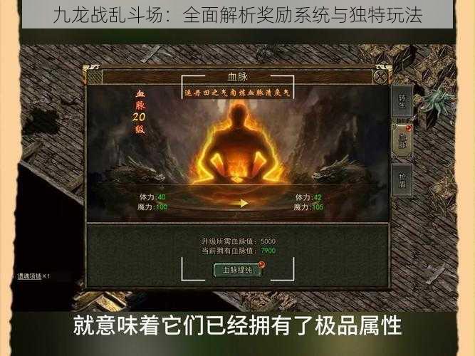 九龙战乱斗场：全面解析奖励系统与独特玩法