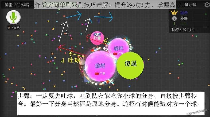 球球大作战房间单刷双刷技巧详解：提升游戏实力，掌握高效攻略