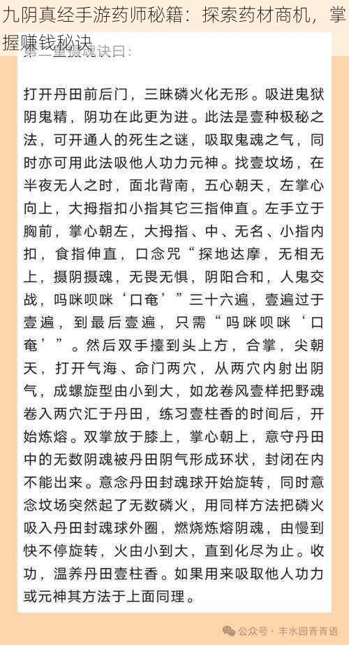 九阴真经手游药师秘籍：探索药材商机，掌握赚钱秘诀