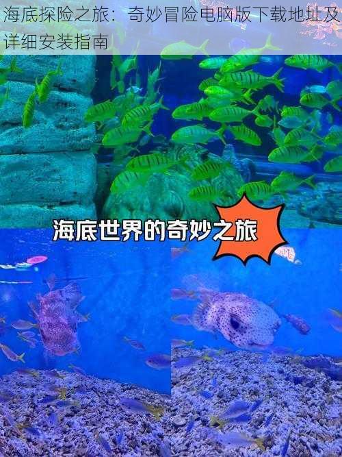 海底探险之旅：奇妙冒险电脑版下载地址及详细安装指南