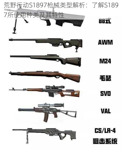 荒野行动S1897枪械类型解析：了解S1897所使用种类及其特性