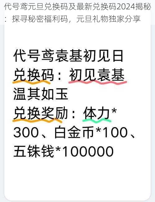 代号鸢元旦兑换码及最新兑换码2024揭秘：探寻秘密福利码，元旦礼物独家分享