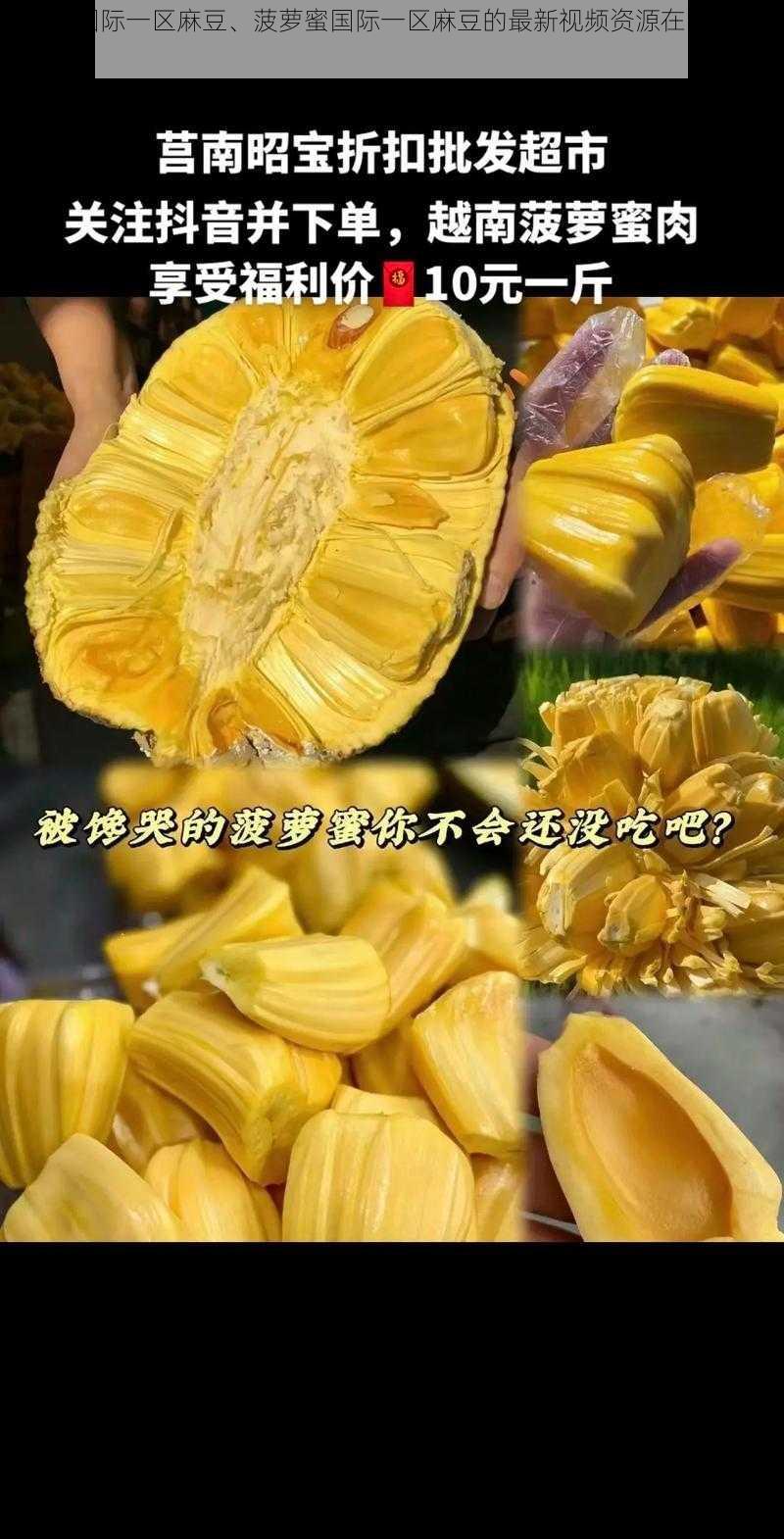 菠萝蜜国际一区麻豆、菠萝蜜国际一区麻豆的最新视频资源在哪里可以找到？