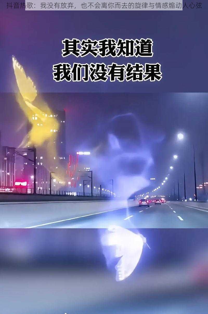 抖音热歌：我没有放弃，也不会离你而去的旋律与情感煽动人心弦