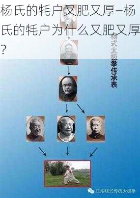 杨氏的牦户又肥又厚—杨氏的牦户为什么又肥又厚？