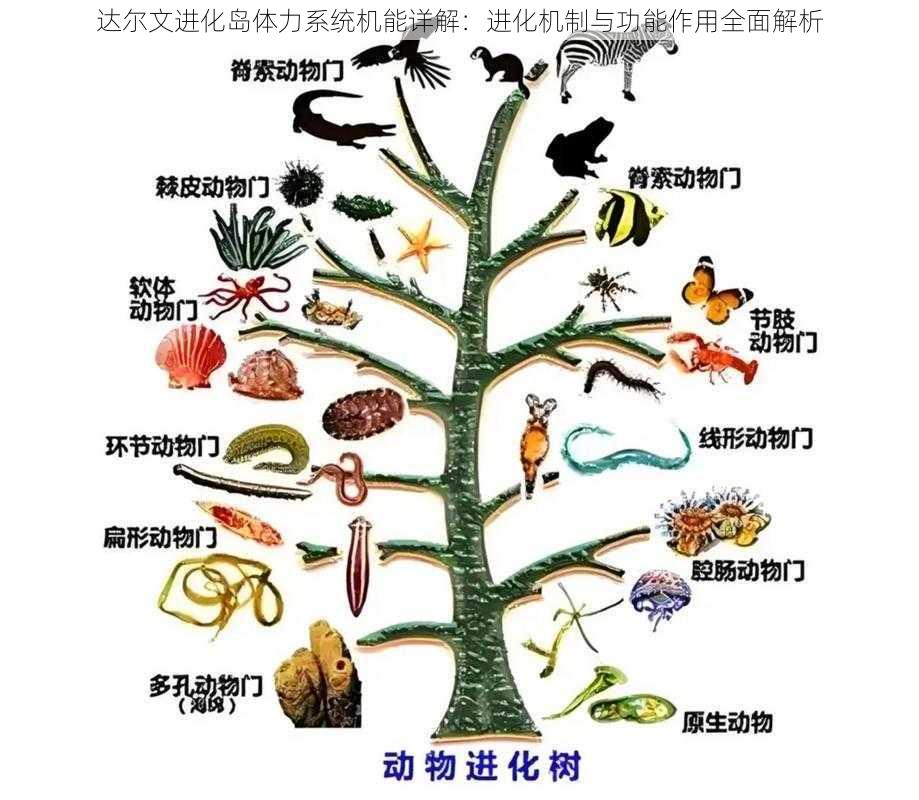 达尔文进化岛体力系统机能详解：进化机制与功能作用全面解析