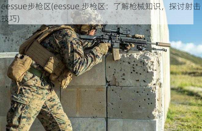 eessue步枪区(eessue 步枪区：了解枪械知识，探讨射击技巧)