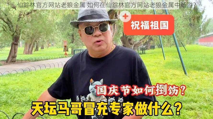 仙踪林官方网站老狼金属 如何在仙踪林官方网站老狼金属中畅游？