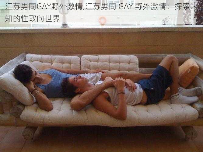 江苏男同GAY野外激情,江苏男同 GAY 野外激情：探索未知的性取向世界