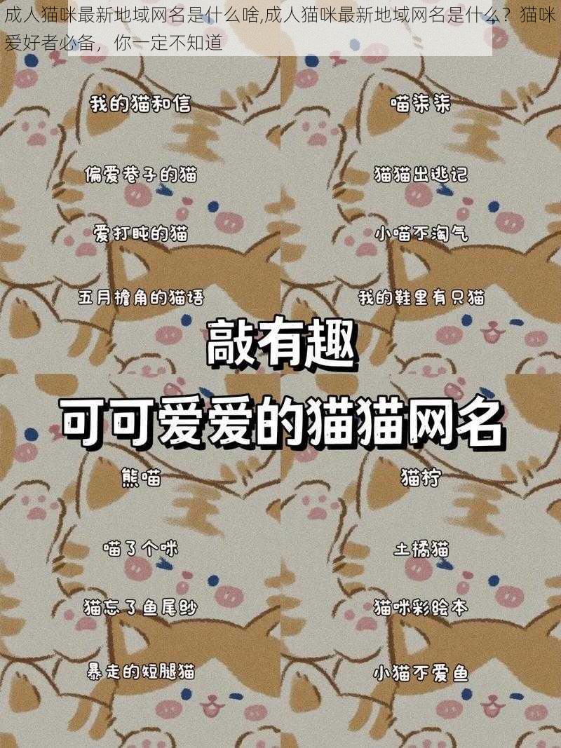 成人猫咪最新地域网名是什么啥,成人猫咪最新地域网名是什么？猫咪爱好者必备，你一定不知道