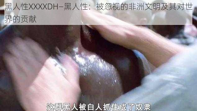 黑人性XXXXDH—黑人性：被忽视的非洲文明及其对世界的贡献