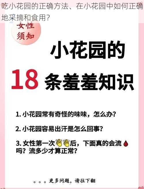 吃小花园的正确方法、在小花园中如何正确地采摘和食用？