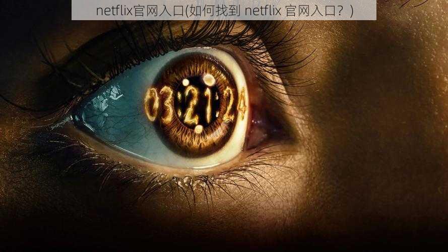 netflix官网入口(如何找到 netflix 官网入口？)