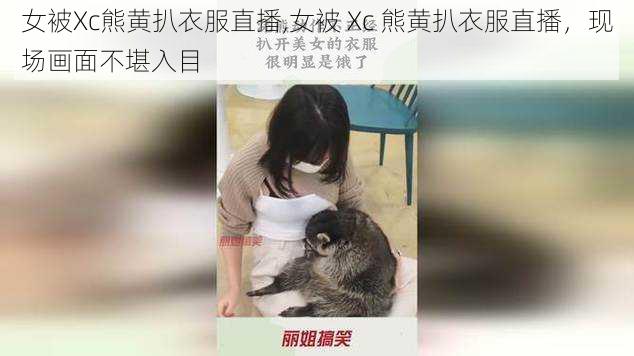 女被Xc熊黄扒衣服直播,女被 Xc 熊黄扒衣服直播，现场画面不堪入目