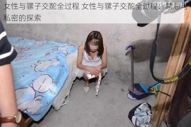 女性与骡子交酡全过程 女性与骡子交酡全过程：禁忌与私密的探索