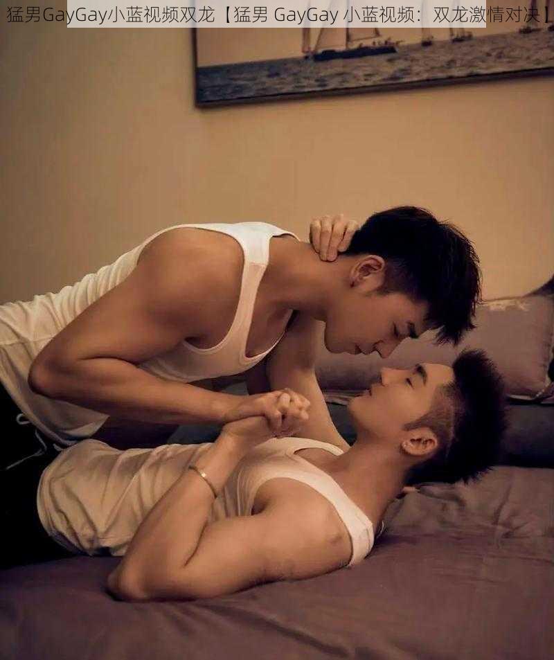 猛男GayGay小蓝视频双龙【猛男 GayGay 小蓝视频：双龙激情对决】