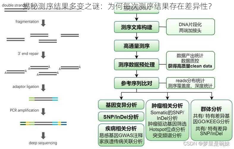 揭秘测序结果多变之谜：为何每次测序结果存在差异性？