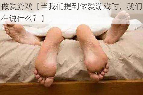 做爱游戏【当我们提到做爱游戏时，我们在说什么？】