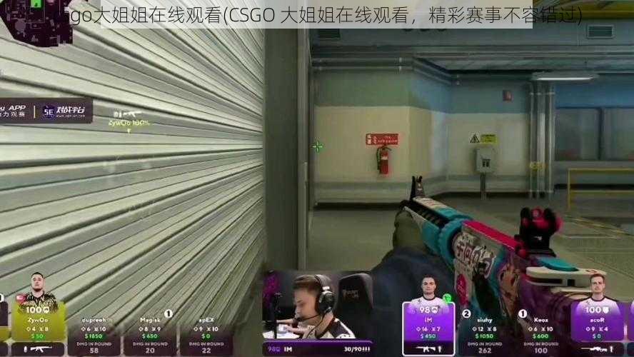 csgo大姐姐在线观看(CSGO 大姐姐在线观看，精彩赛事不容错过)