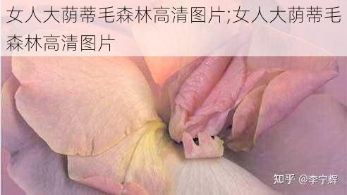 女人大荫蒂毛森林高清图片;女人大荫蒂毛森林高清图片