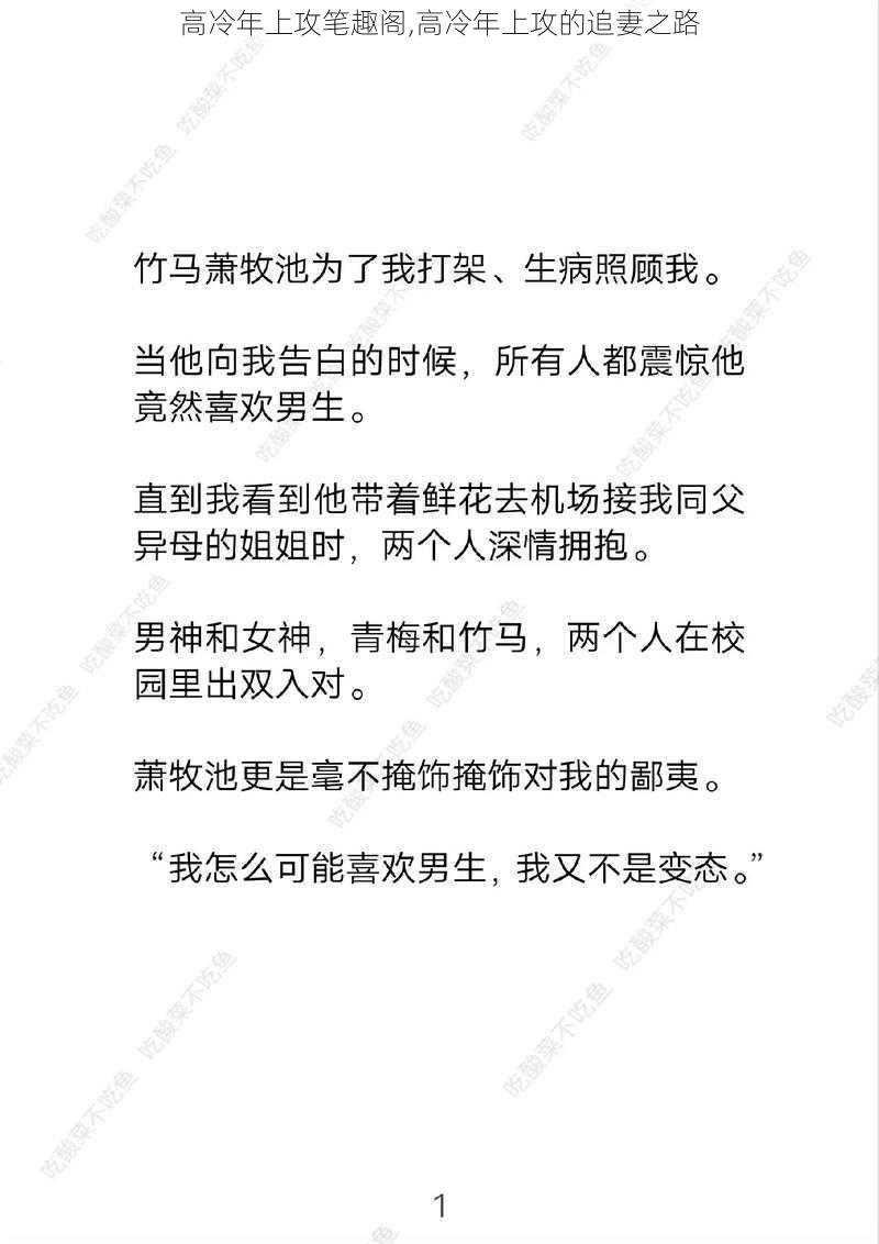 高冷年上攻笔趣阁,高冷年上攻的追妻之路