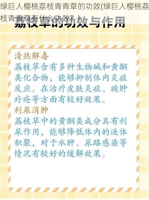 绿巨人樱桃荔枝青青草的功效(绿巨人樱桃荔枝青青草有什么功效？)