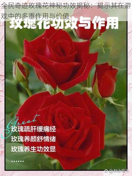 全民奇迹玫瑰花神秘功效揭秘：揭示其在游戏中的多重作用与价值