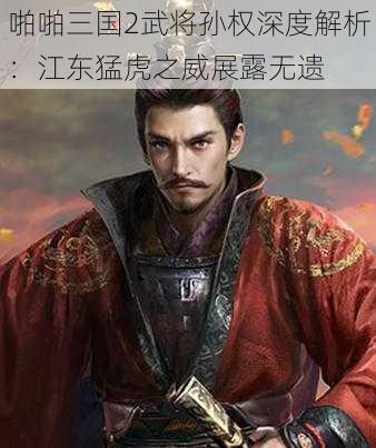 啪啪三国2武将孙权深度解析：江东猛虎之威展露无遗