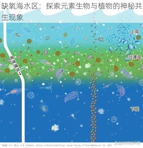 缺氧海水区：探索元素生物与植物的神秘共生现象