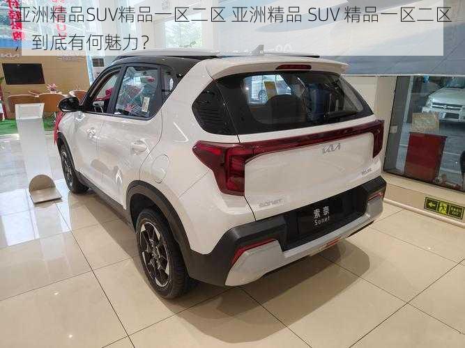 亚洲精品SUV精品一区二区 亚洲精品 SUV 精品一区二区，到底有何魅力？