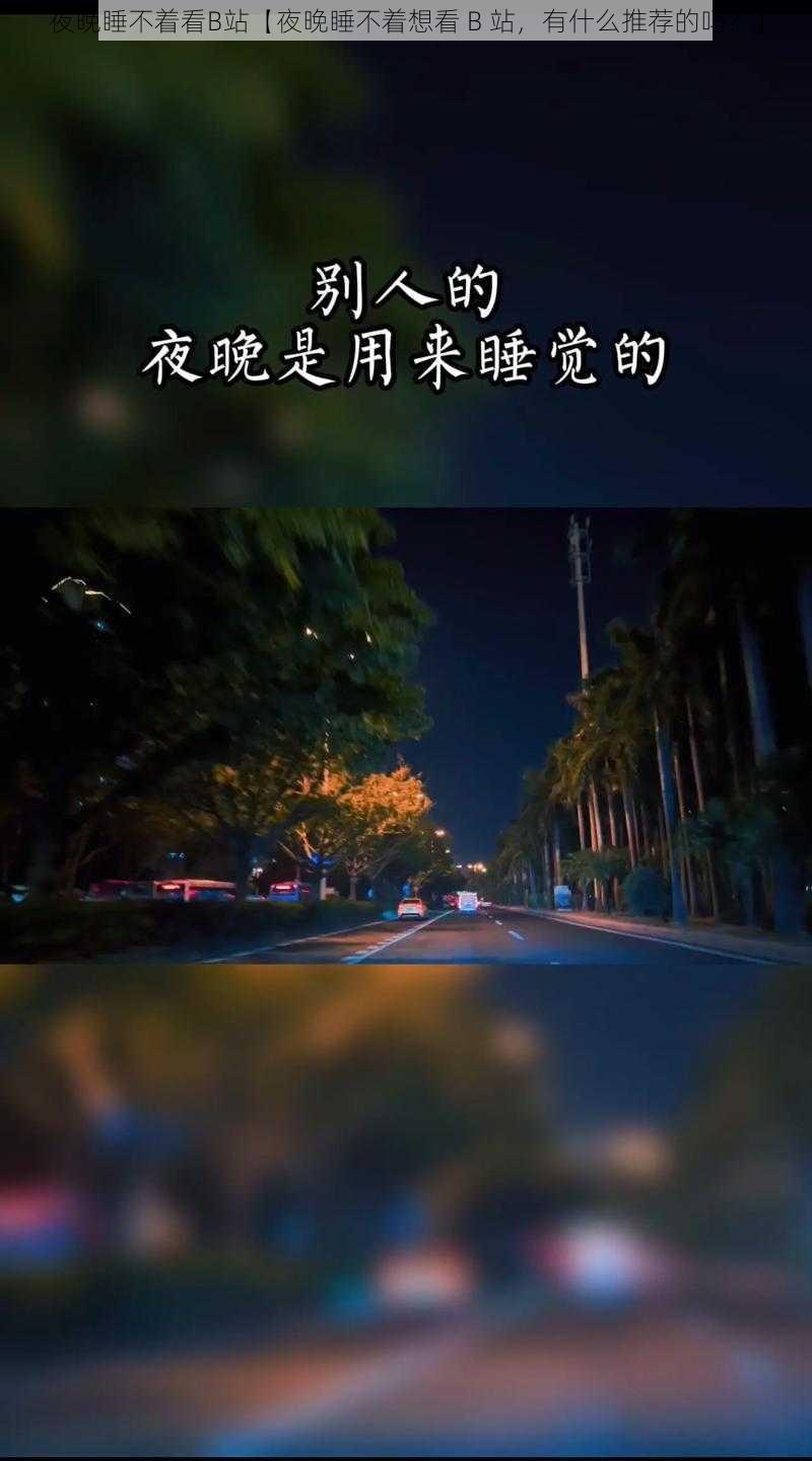 夜晚睡不着看B站【夜晚睡不着想看 B 站，有什么推荐的吗？】