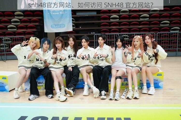 snh48官方网站、如何访问 SNH48 官方网站？