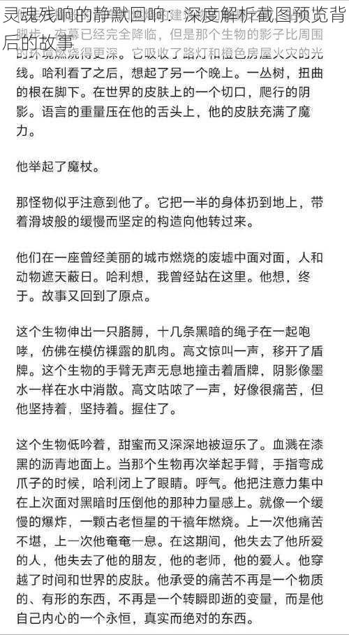 灵魂残响的静默回响：深度解析截图预览背后的故事