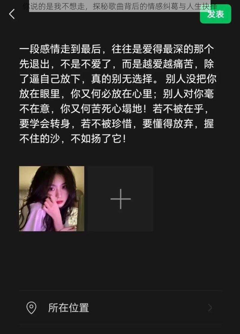 你说的是我不想走，探秘歌曲背后的情感纠葛与人生抉择