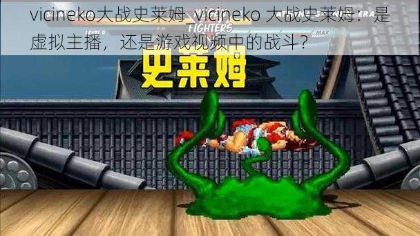 vicineko大战史莱姆_vicineko 大战史莱姆：是虚拟主播，还是游戏视频中的战斗？