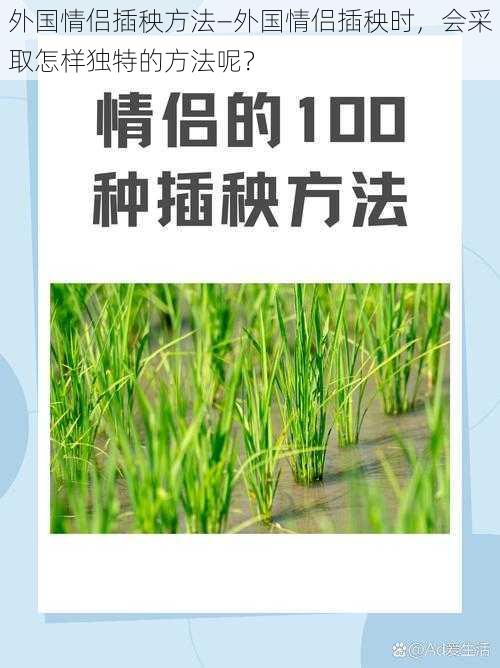 外国情侣插秧方法—外国情侣插秧时，会采取怎样独特的方法呢？