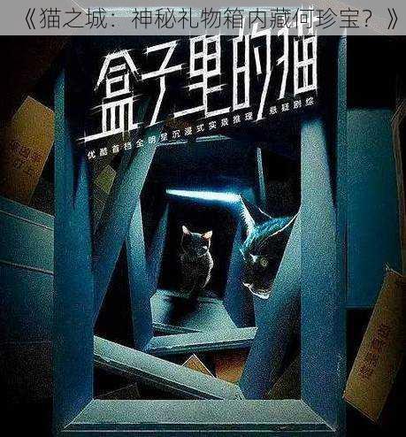 《猫之城：神秘礼物箱内藏何珍宝？》