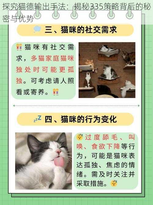 探究猫德输出手法：揭秘335策略背后的秘密与优势