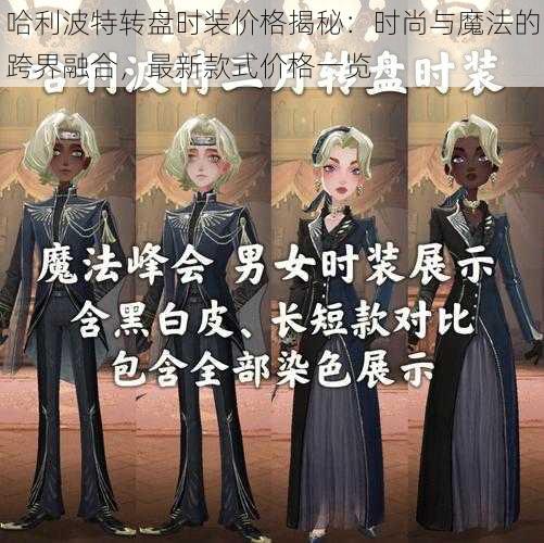 哈利波特转盘时装价格揭秘：时尚与魔法的跨界融合，最新款式价格一览