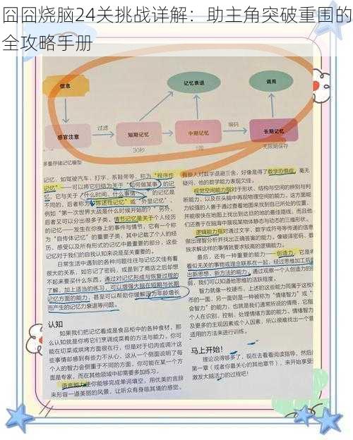 囧囧烧脑24关挑战详解：助主角突破重围的全攻略手册