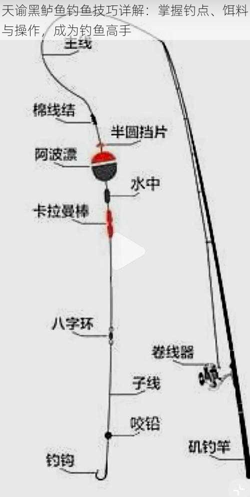 天谕黑鲈鱼钓鱼技巧详解：掌握钓点、饵料与操作，成为钓鱼高手