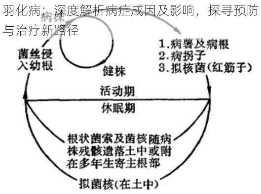 羽化病：深度解析病症成因及影响，探寻预防与治疗新路径